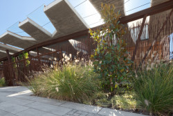 Bytový dům Puškinova v Bělehradě, FIALA+NEMEC