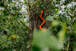 Výstava přibližuje plánovanou proměnu Trojské kotliny a Císařského ostrova