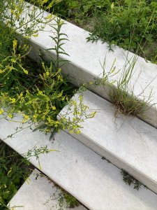 Kaple Cestou se jmenuje příhodně, vápencové bloky nás provází podél pěšiny na vrchol ke kříži. Foto: Klára Koldová