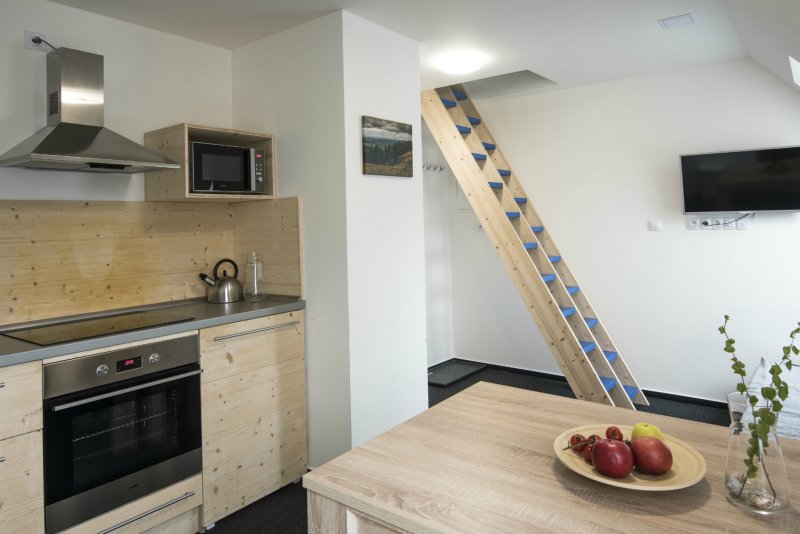 Rekonstrukce chaty v Harrachově, Mooza architecture