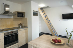 Rekonstrukce chaty v Harrachově, Mooza architecture