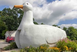 Big Duck v New Yorku, slavná stavba ve tvaru drůbeže
