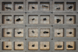 Gran Fierro, Formafatal / Dagmar Štěpánová, Iveta Tesařová