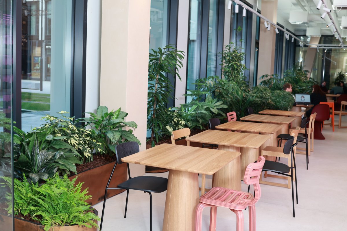 Pronájem rostlin s péčí od Jungle Interiors