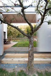 Dům před dvůr, DDAANN