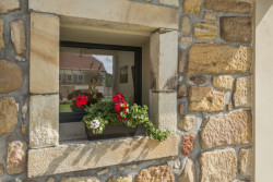 Rekonstrukce tvrze Krassa v Chroustné, David Pospíšil