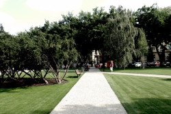 Landererov Park, fbcc architecture