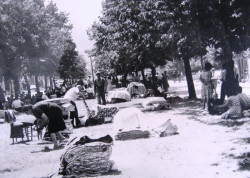 Den po zemětřesení, lidé si připravují provizorní lůžka v ulicích a parcích města.