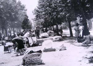 Den po zemětřesení, lidé si připravují provizorní lůžka v ulicích a parcích města.