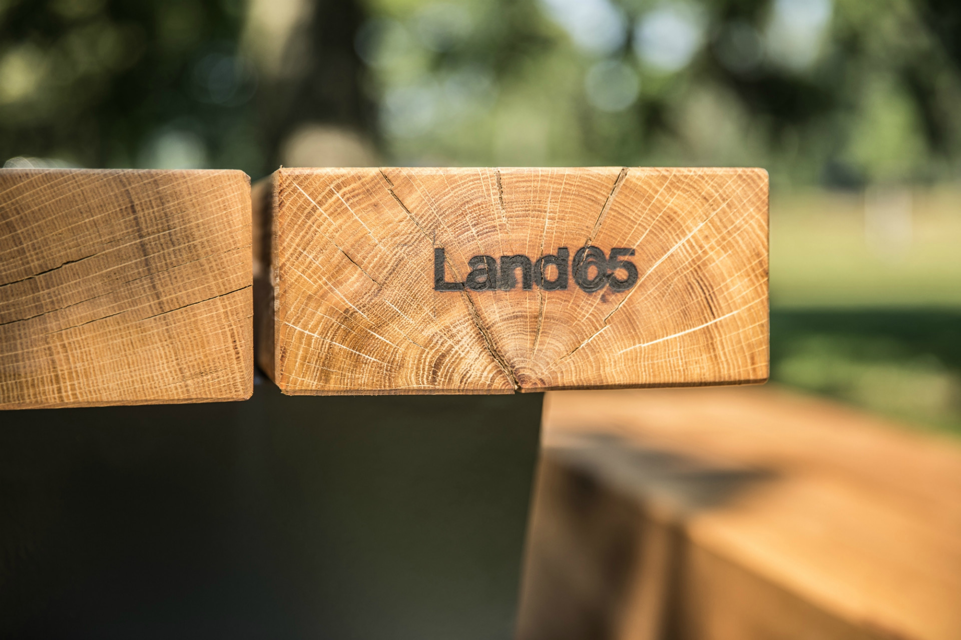 Pilotní projekt piknikových míst v pražské Stromovce, Land 05 / Martina Forejtová