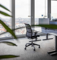 Wiesner-Hager vybavil kanceláře společnosti UNIQA ve Vídni s ohledem na udržitelnost a recyklaci