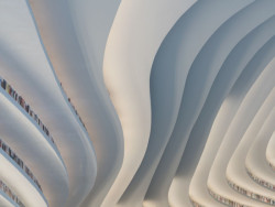 Knihovna Binhai, MVRDV