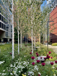 Architektonické studio JEMS Architekci realizovalo v areálu Varšavských pivovarů bytový dům, který nabízí byty od garsoniér až po dvoupatrové penthousy