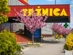 Dnešní stav tržnice