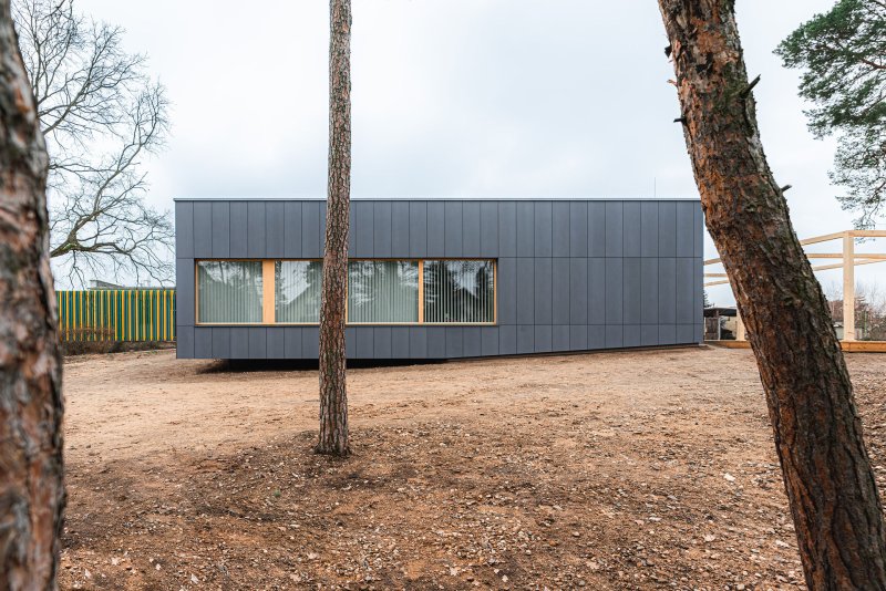 Je to barva, která se podobá kůře borovic. (Mateřská škola ve Vědomicích, Architip)