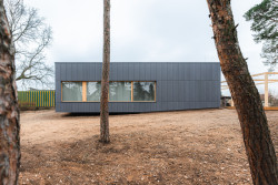 Je to barva, která se podobá kůře borovic. (Mateřská škola ve Vědomicích, Architip)