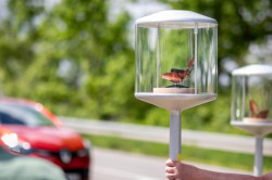 Naučná stezka Vitra Designweg.