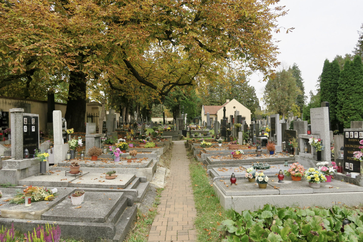 Foto z návštěvy: Původní část hostivařského hřbitova (Rozšíření hřbitova v Hostivaři; Fertyk, BAKYTA)