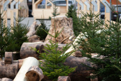 Instalace Zlaté dřevo zblízka (Consequence forma architects, dětská vesnička v Brně)