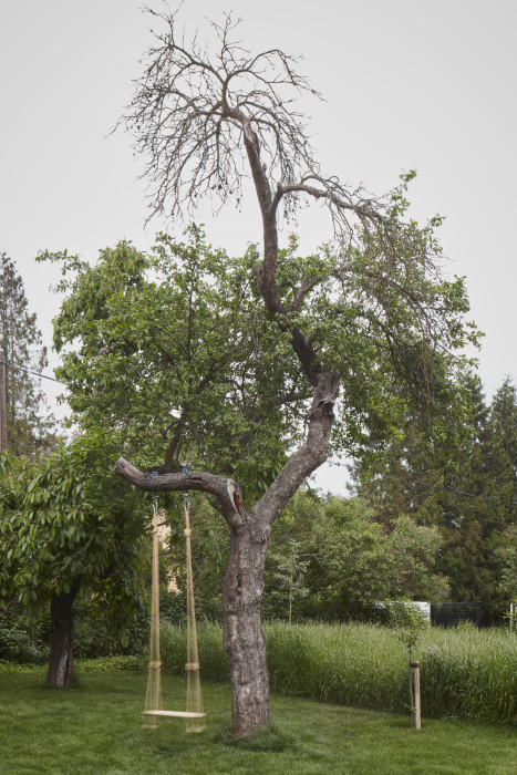 Vila s fontánou, Mjölk architekti