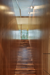 Lazy House, petrjanda/brainwork