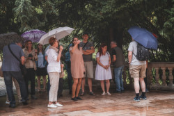 Vila Engelsmann v Brně