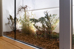 Rekonstrukce ostravského bytu od studia Tvary