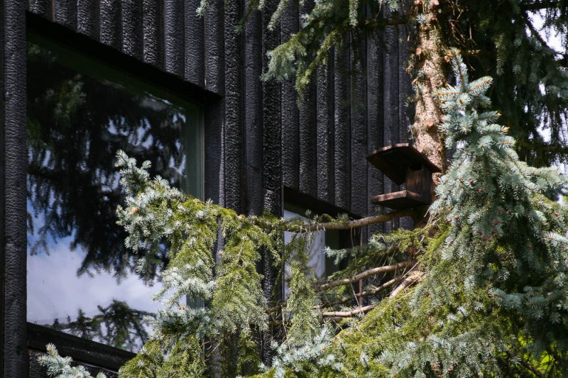 Chata v Jundrově, atelier RCNKSK/ Jan Říčný. Foto: RCNKSK