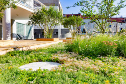 Veřejná zelená střecha, JAKUB CIGLER ARCHITEKTI.