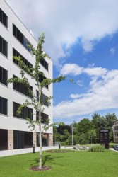 ov-a, Rekonstrukce a dostavba administrativní budovy Verona – foto