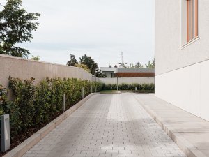 Vila Mudroňova, Ilja Skoček