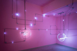 Nikola Čermáková, instalace Akce reakce