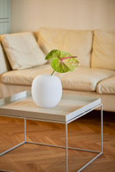 Rekonstrukce bytu na pražské Letné od 0,5 Studia