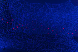 Nina Šulin & Natalija R. Črnčec, In Parallel - foto