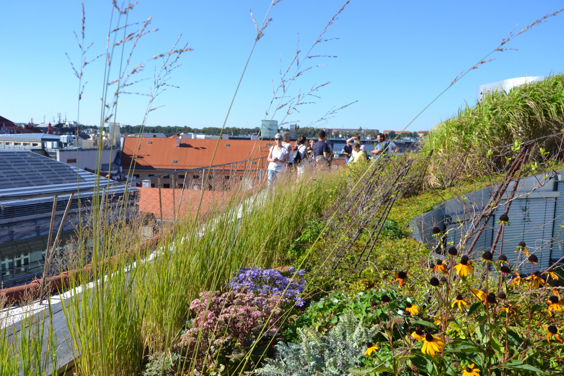 Palác Špork, Fiala+Nemec.