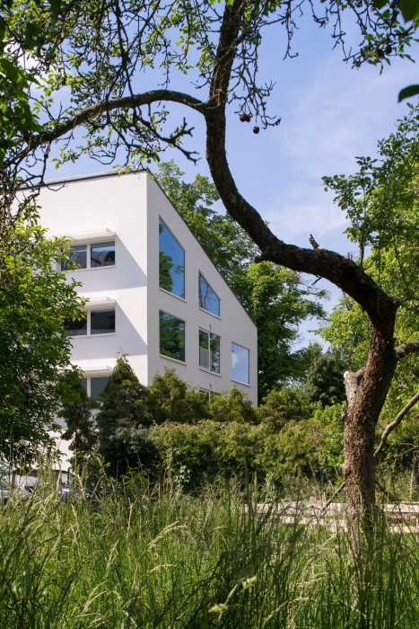 Corso Pod Lipami, Ehl & Koumar Architekti