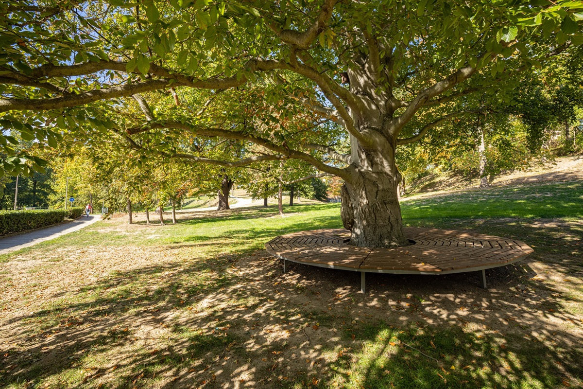 Lochotínský park po dvanáctileté revitalizaci