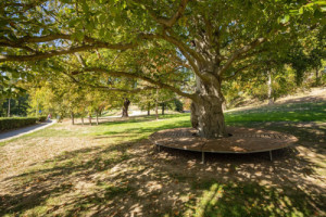 Lochotínský park po dvanáctileté revitalizaci