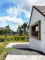 Vinařství Novotný, keeo4design