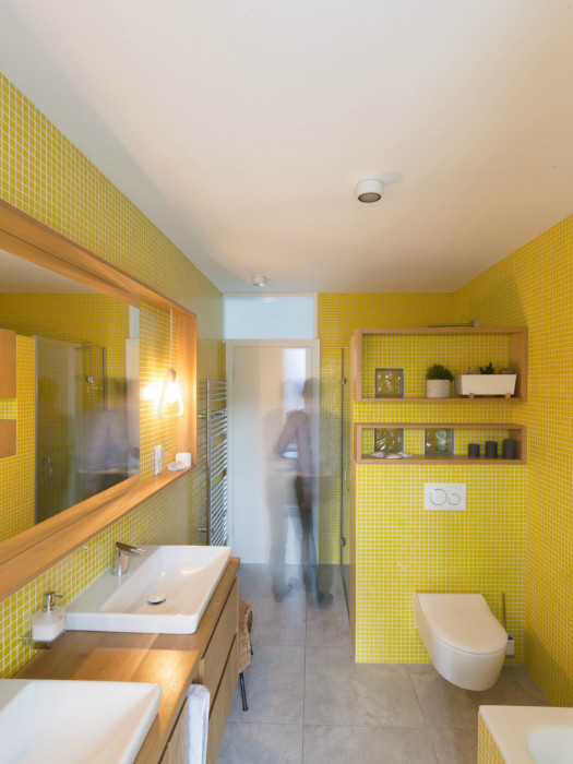 Rodinný dům Svinná u Trenčína, Treea/ Peter Kasman