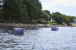 Papkasserne, Pia Skogberg