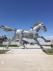 Krytá jezdecká hala v Šamoríně, A2 studio, foto