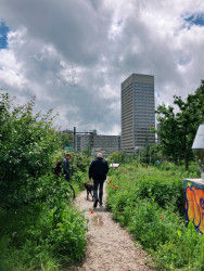 Žlutá lávka Luchtsingel ústí na střechu bývalé vlakové stanice. Do vagónu zde nenasednete, ale zato si tu můžete vypěstovat zeleninu. 