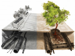 Praha sepsala novelu Pražských právních předpisů