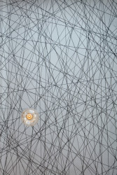 Lasagneria, Mar.s architects