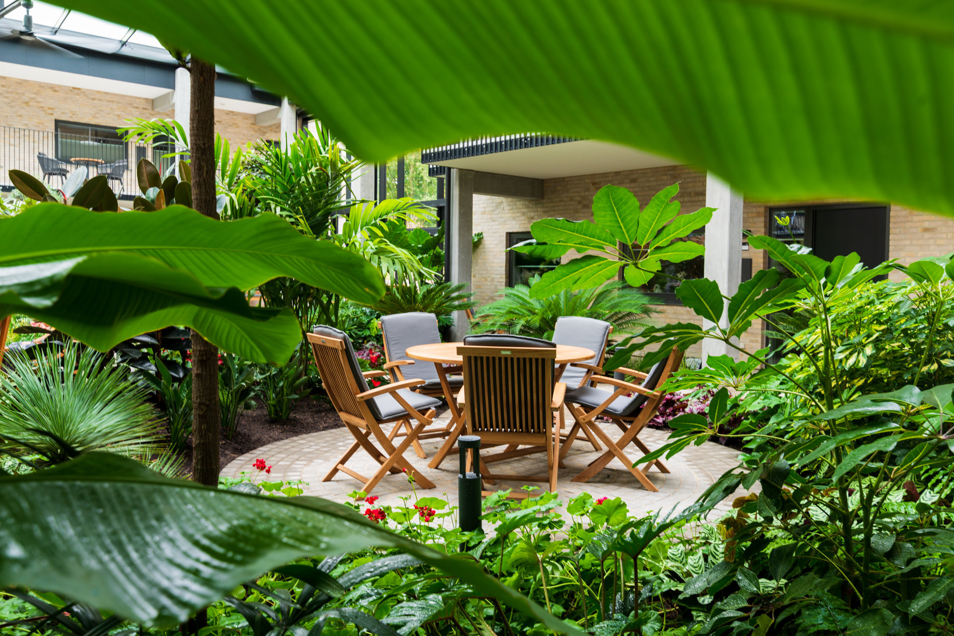 Jungle Interiors do svých návrhů začleňuje rozsáhlé množství rostlin, které plní nejen ekologickou roli, ale zlepšují kvalitu ovzduší a akustiku interiéru.