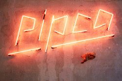 Street food bistro Pipca, mar.s architects