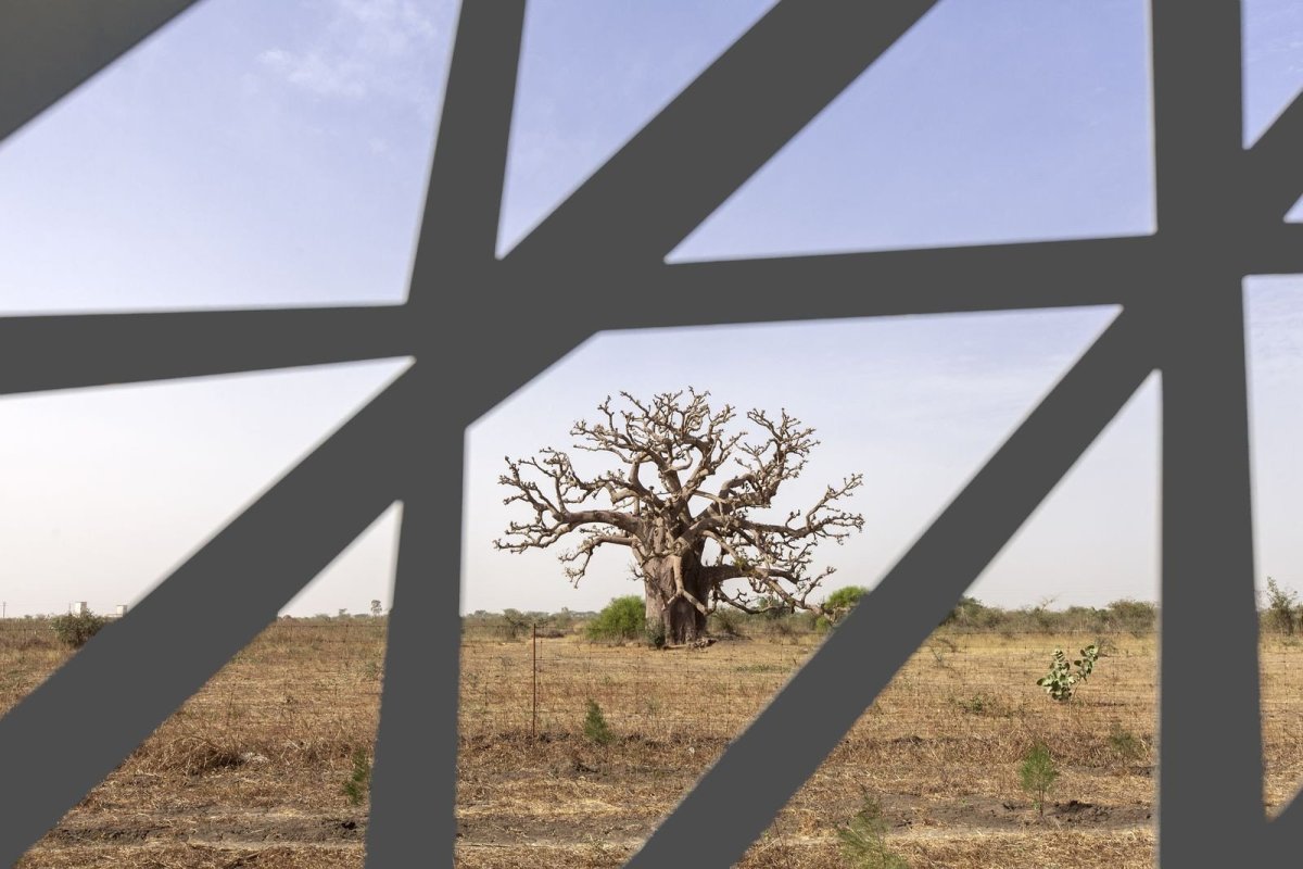 Mezinárodní kongresové centrum v Senegalu, Tabanlioglu Architects, Foto