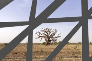 Mezinárodní kongresové centrum v Senegalu, Tabanlioglu Architects, Foto