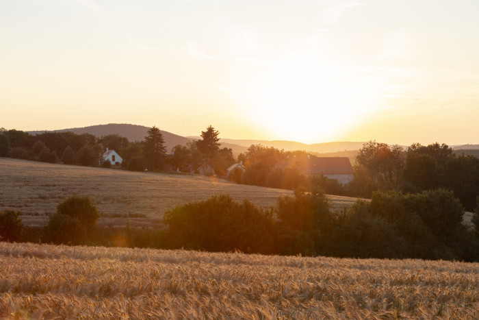 Architekti se rozhodli postavit dům vlastníma rukama z prefabrikovaných slaměných panelů, které jsou rychle smontovány na místě.